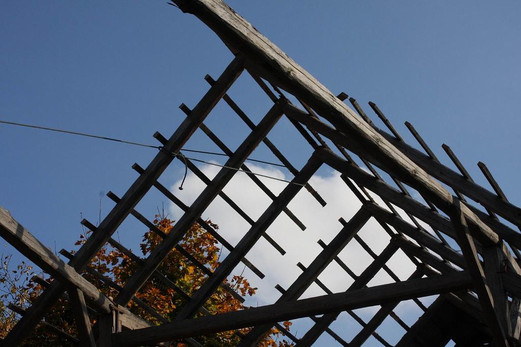 P�vodn� obr�zek