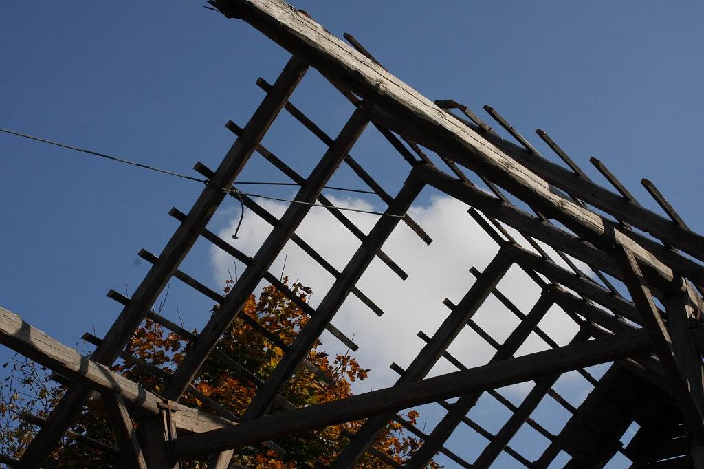 P�vodn� obr�zek