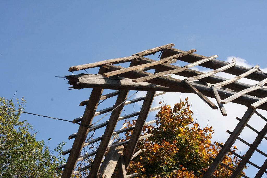 P�vodn� obr�zek