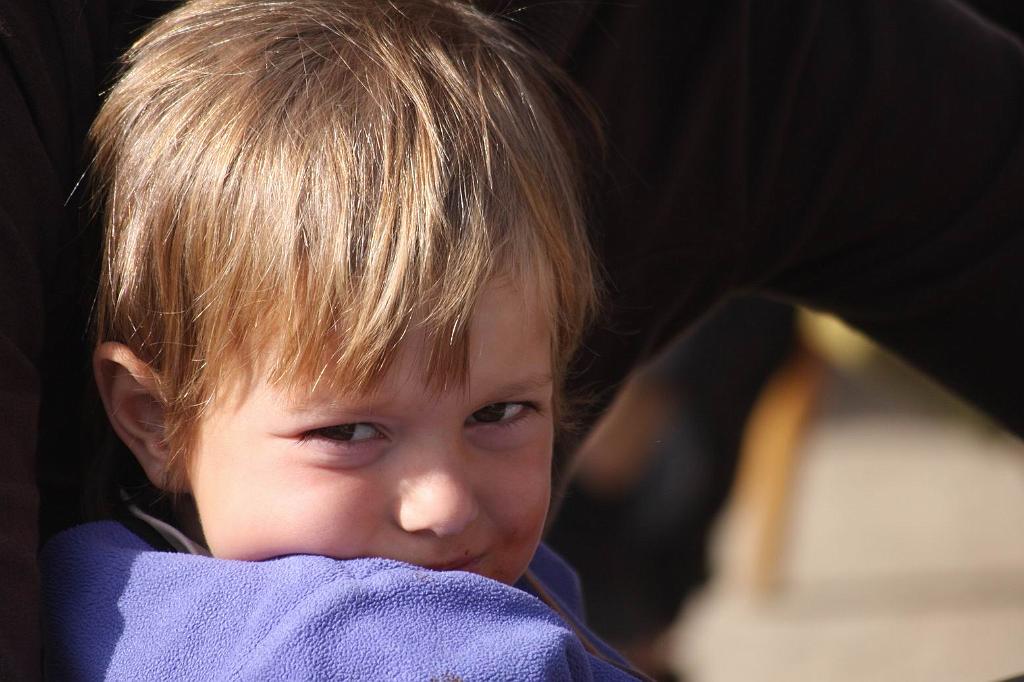 P�vodn� obr�zek