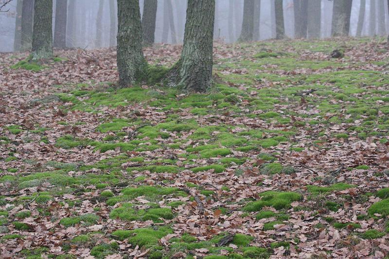 Pvodn obrzek