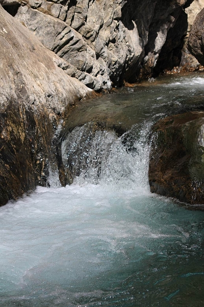 IMG_8748.JPG