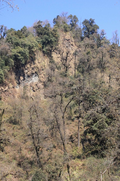 IMG_8849.JPG