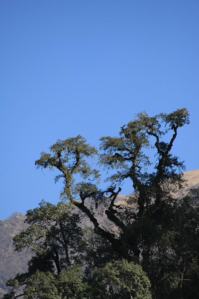 IMG_9498.JPG