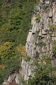 IMG_2271