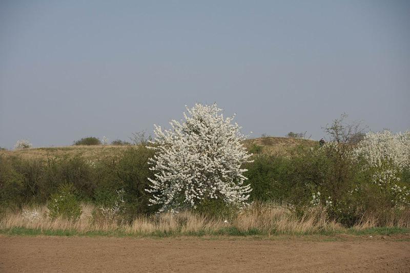 Pvodn obrzek
