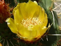 Resize of  MG 0491