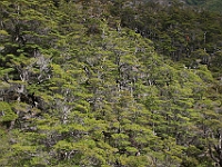 D69A7161 resize