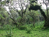D69A7540 resize
