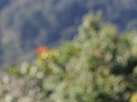 D69A7758 resize