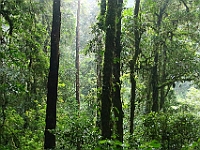 D69A7921 resize