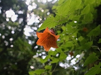 D69A7952 resize