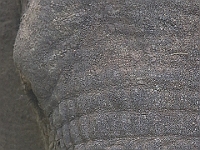 D69A9667 resize